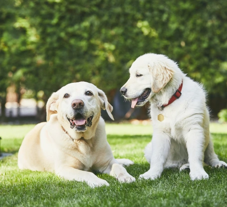 New Clients Welcome—Free Wellness Exam