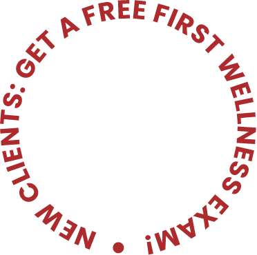 img text circular